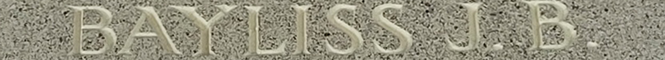 F/Sgt Jack Bernard Bayliss<br/><br /><br />missing March 30th, 1943<br /><br /><br />No Known Grave<br /><br /><br />Commemorated: Runnymede Memorial, Surrey, England<br /><br /><br />Panel 192